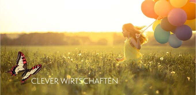 Ökopalette von Schroth Paletten